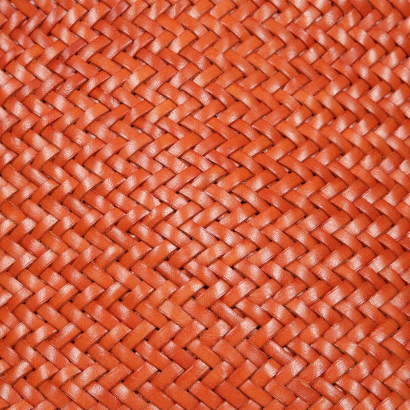 DRAGON DIFFUSION   Borsa - immagine 9