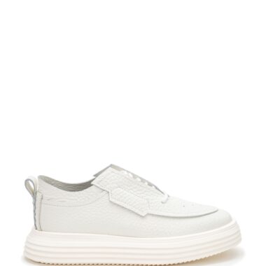 174250-174251-174254-174252-174253-174255-174256